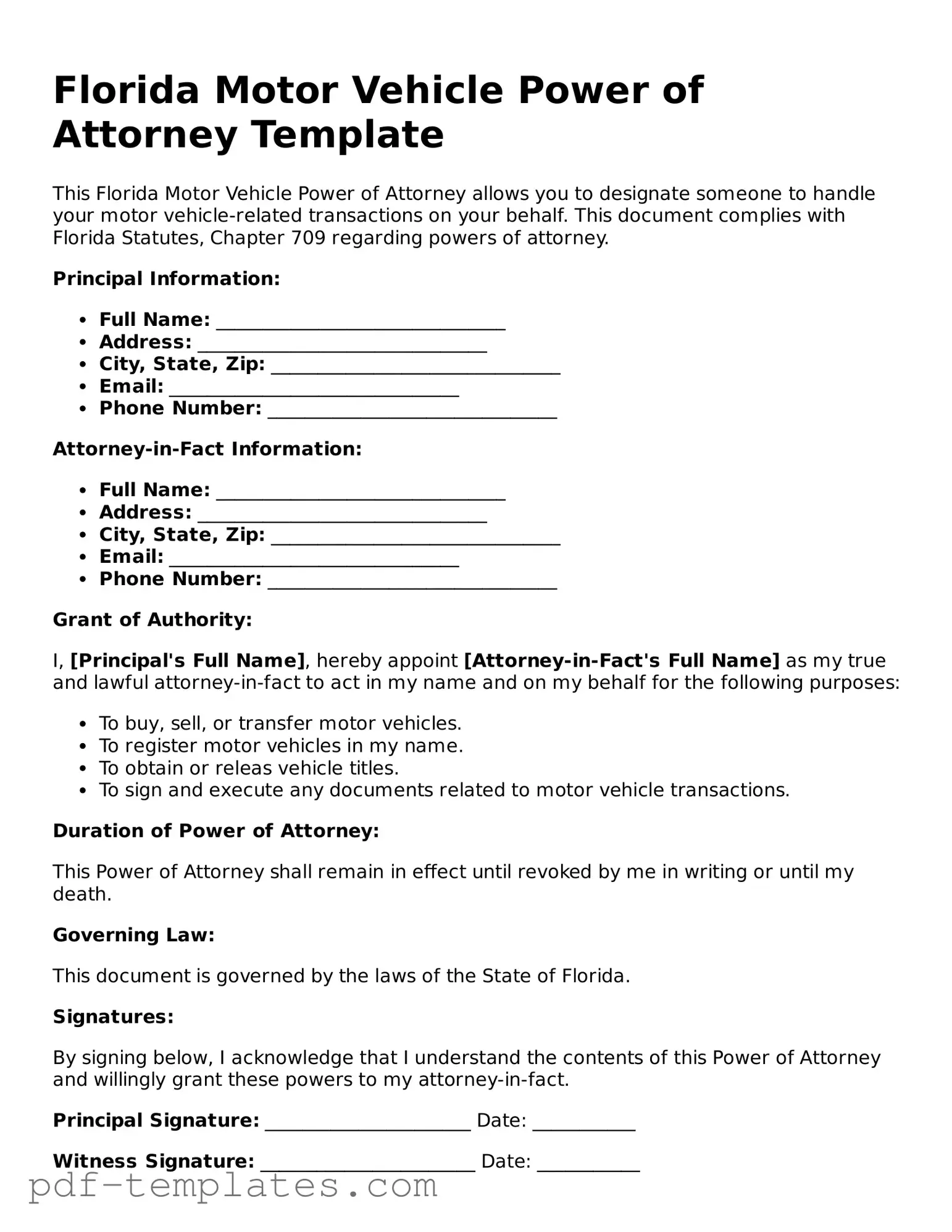 Official Motor Vehicle Power of Attorney Template for Florida State