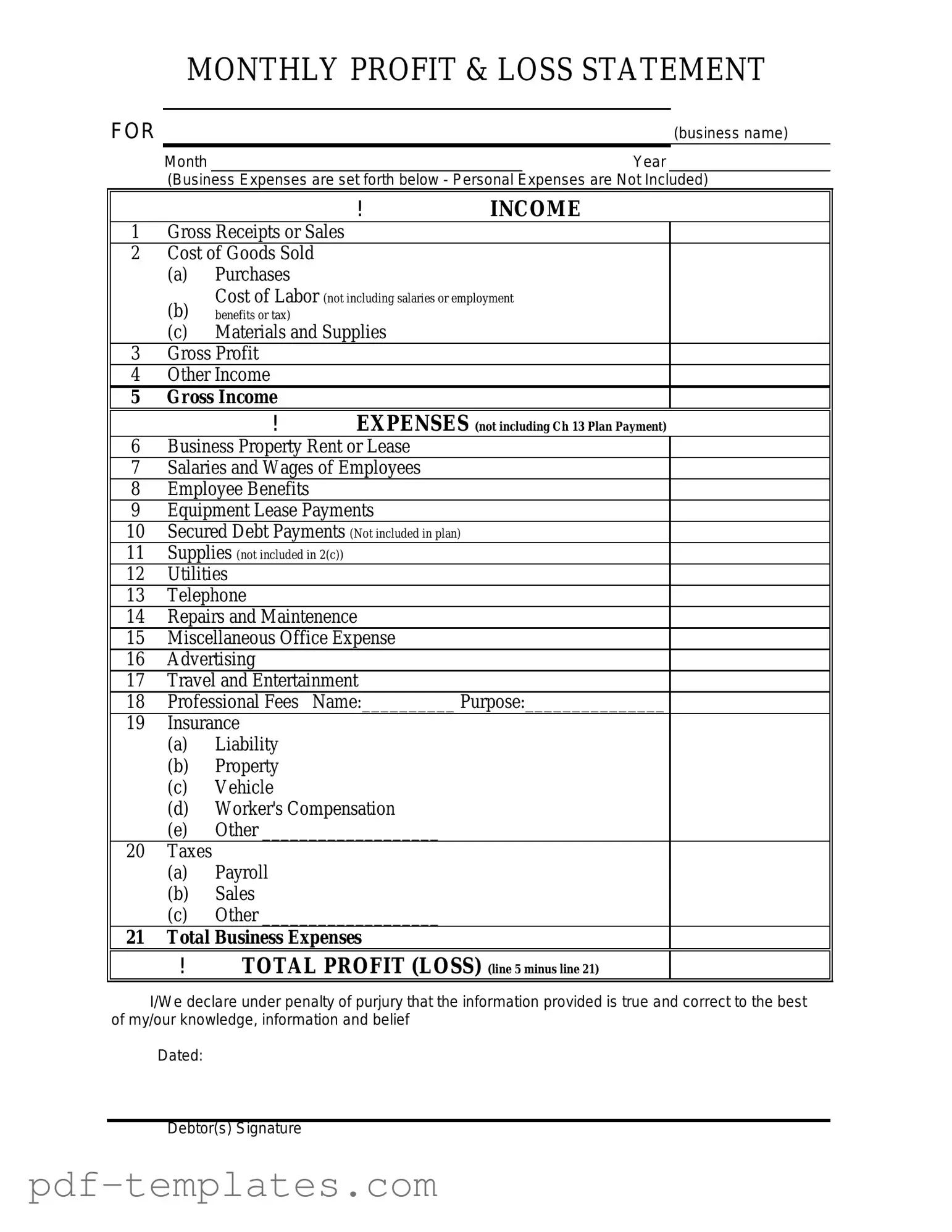 Get Profit And Loss Form in PDF