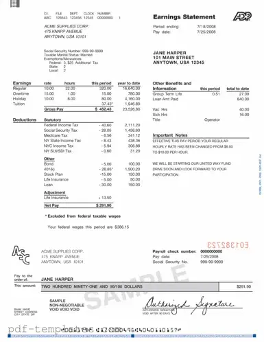 Get Adp Pay Stub Form in PDF