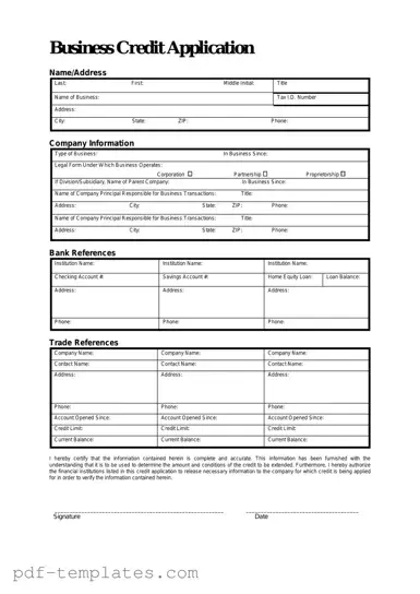 Get Business Credit Application Form in PDF