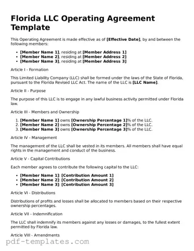 Official Operating Agreement Template for Florida State
