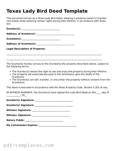 Official Lady Bird Deed Template for Texas State